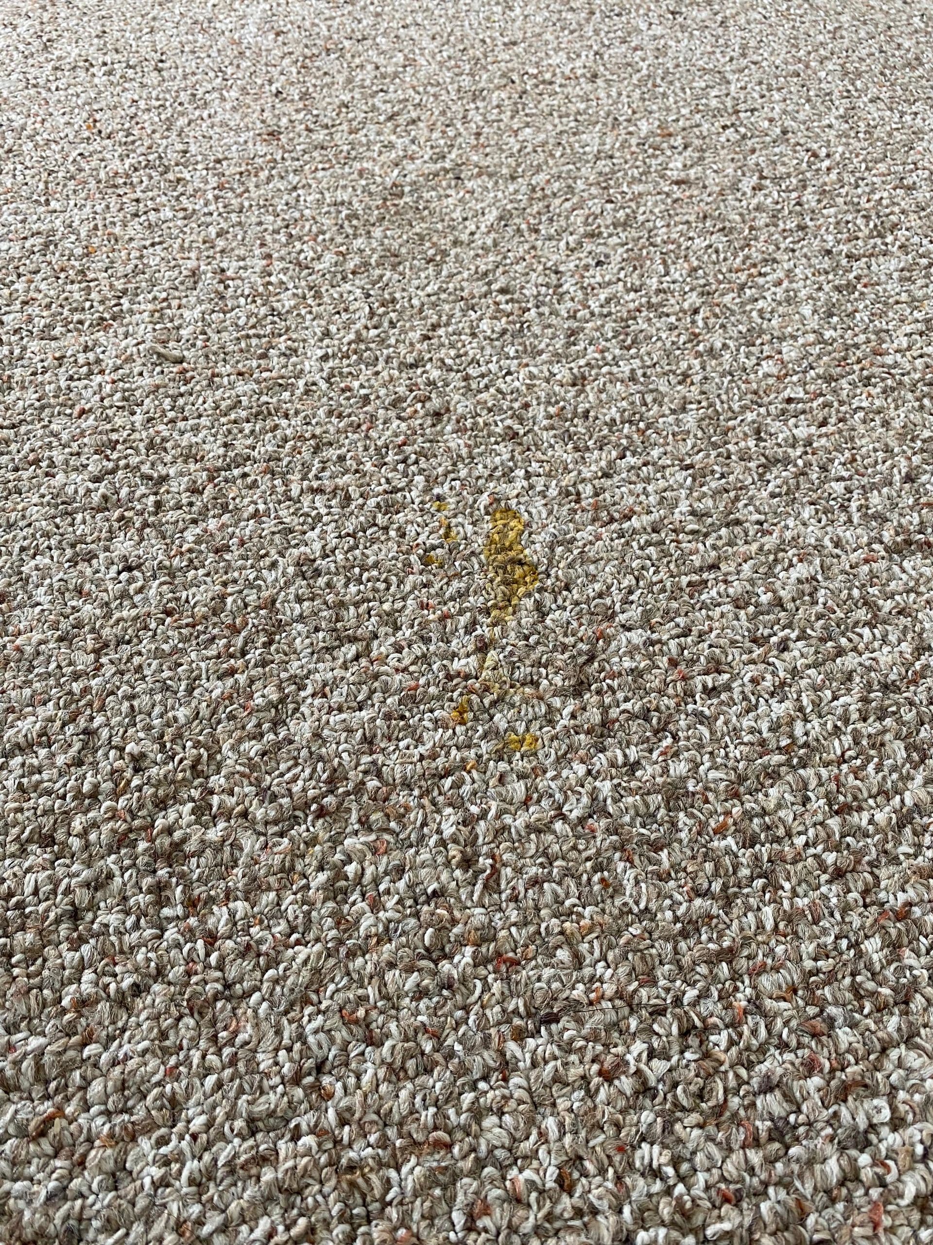 Close-up of a stained carpet being treated during a Best Cleaning & Restoration job